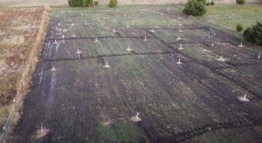 Orchard Planted - 48 Trees!